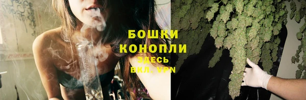 молекула духа Майский