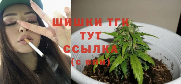 трава Магас