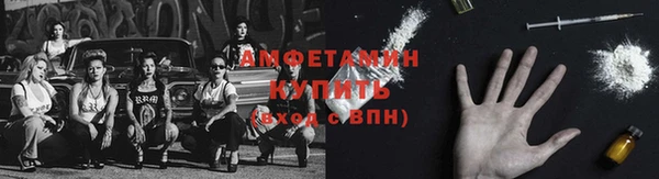 трава Магас