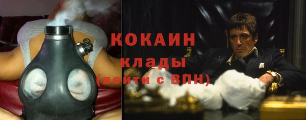 молекула духа Майский