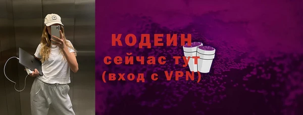 молекула духа Майский