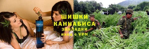 молекула духа Майский