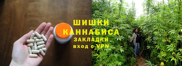 трава Магас