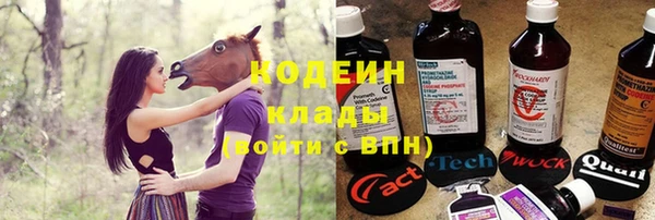 молекула духа Майский