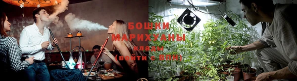 трава Магас