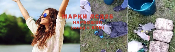 трава Магас