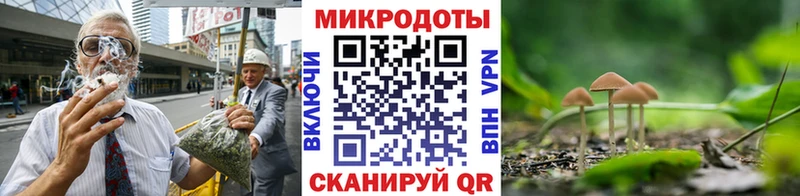 Псилоцибиновые грибы прущие грибы  продажа наркотиков  Михайловка 
