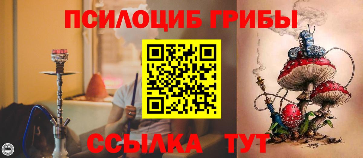 Псилоцибиновые грибы GOLDEN TEACHER Михайловка