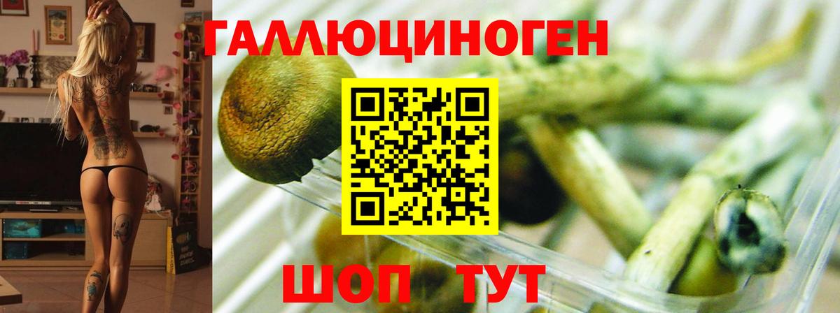 Псилоцибиновые грибы GOLDEN TEACHER  Вход с VPN  Галлюциногенные грибы мухоморы  Михайловка 