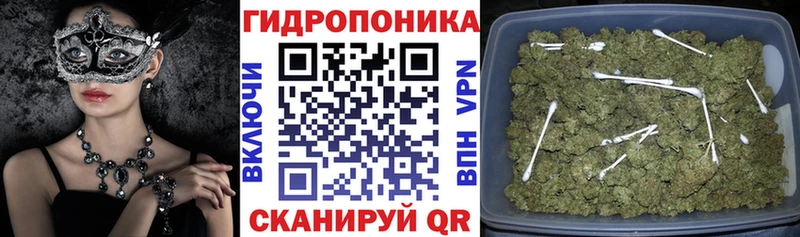 Бошки марихуана сатива  это как зайти  Михайловка 